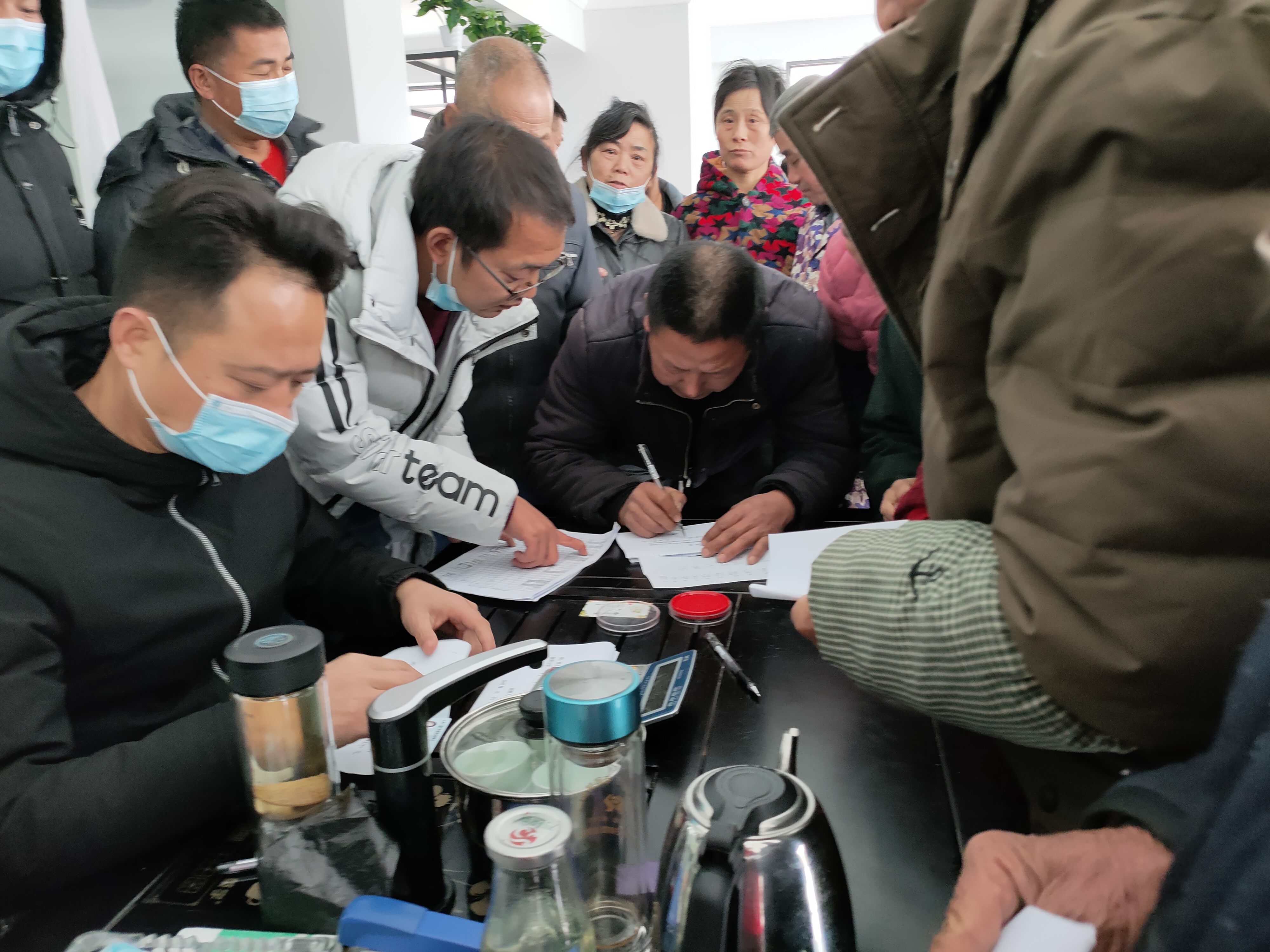 万岁泉金银花小镇结出“幸福花”，300余农户共享乡村振兴成果！